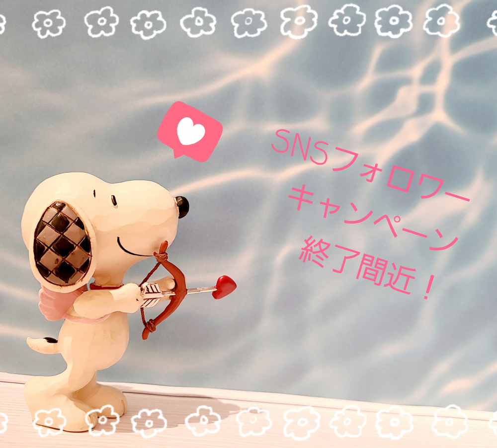 SNSフォロワーキャンペーン終了間近!