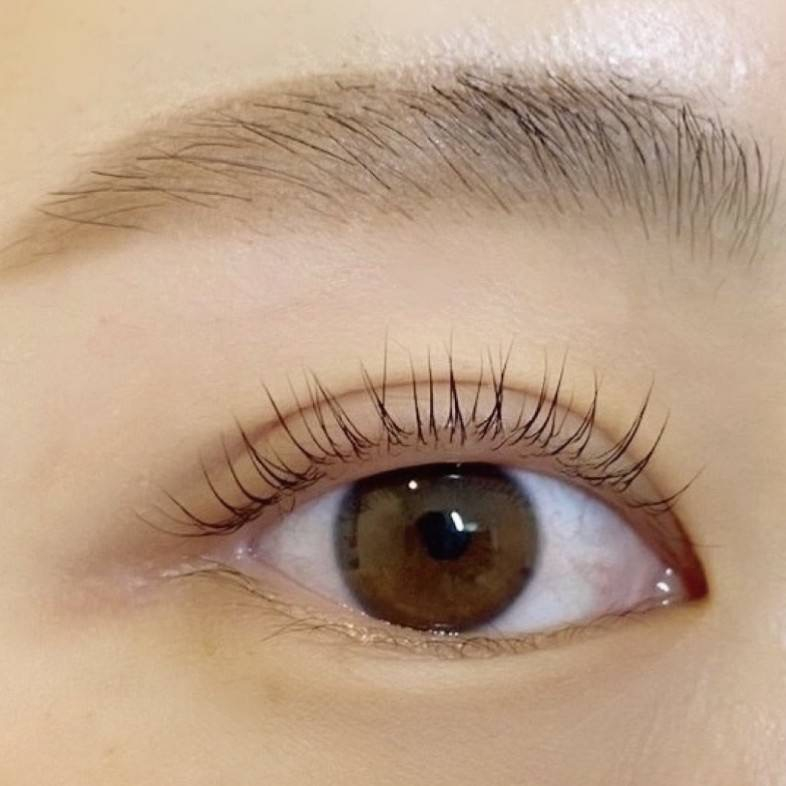 10月限定 美眉スタイリング+まつ毛パーマセット