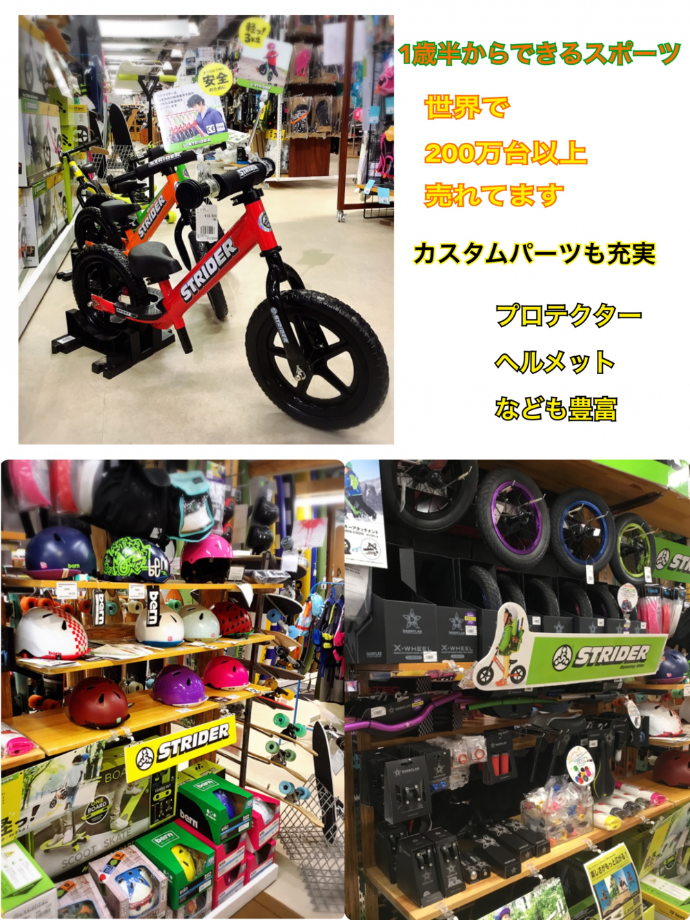 ストライダーの秋