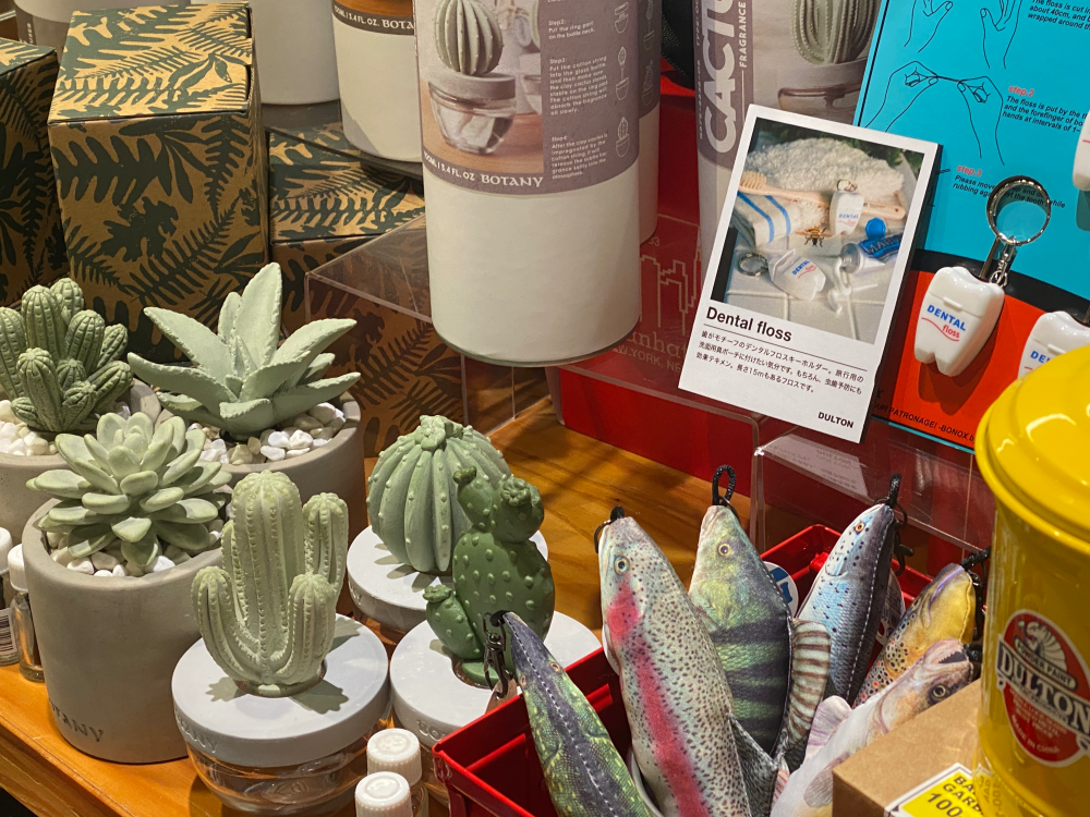 期間限定販売DULTON/POPUP】見て楽しい🎵魅力的な雑貨たちが店内勢揃い