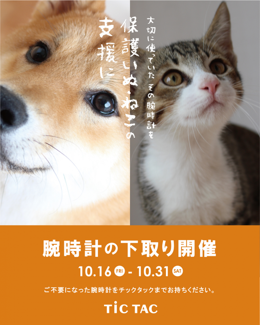【チックタック新潟店】大切に使って腕時計を保護いぬ・保護ねこの支援につなげませんか？