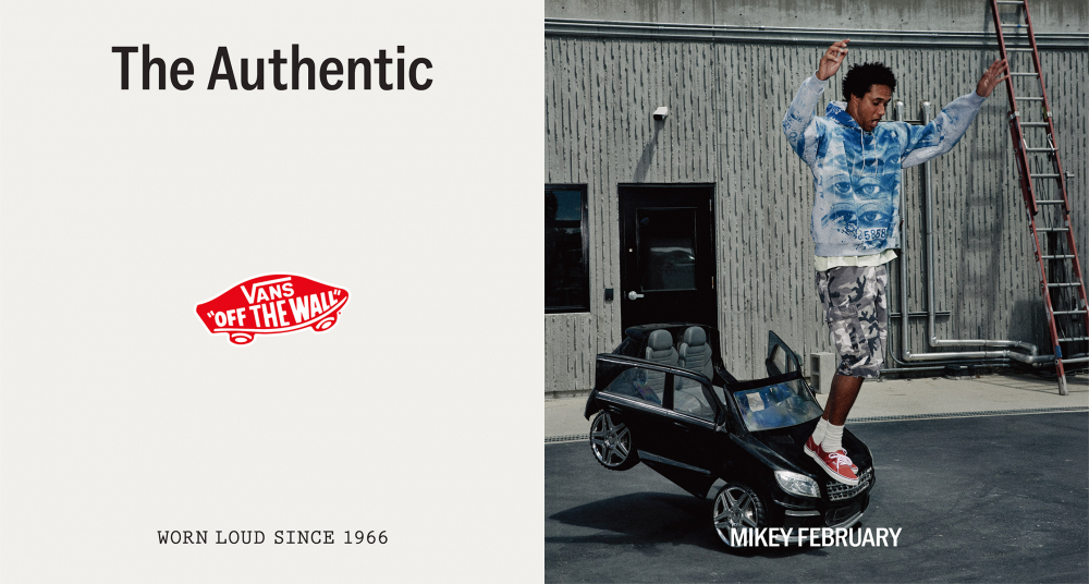 VANS　NEWIN