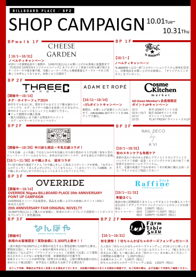 いろはオーダーページ アメリカ「【Rare Design】シルバーオーバレイ 鳥文様