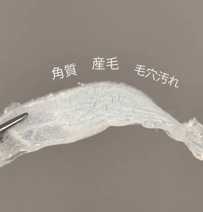 角質＆産毛をオフ！お顔全部のワックスで透明感もUP！14500円