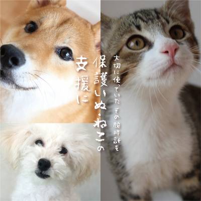 【チックタック新潟店】5月16日～5月31日 腕時計の下取りキャンペーンのお知らせ