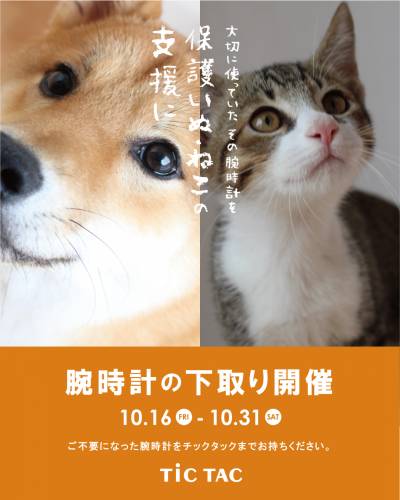 【チックタック新潟店】大切に使って腕時計を保護いぬ・保護ねこの支援につなげませんか？